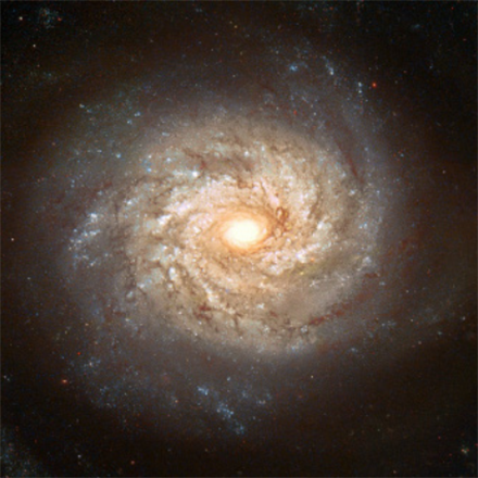 Galaxy NGC 3982