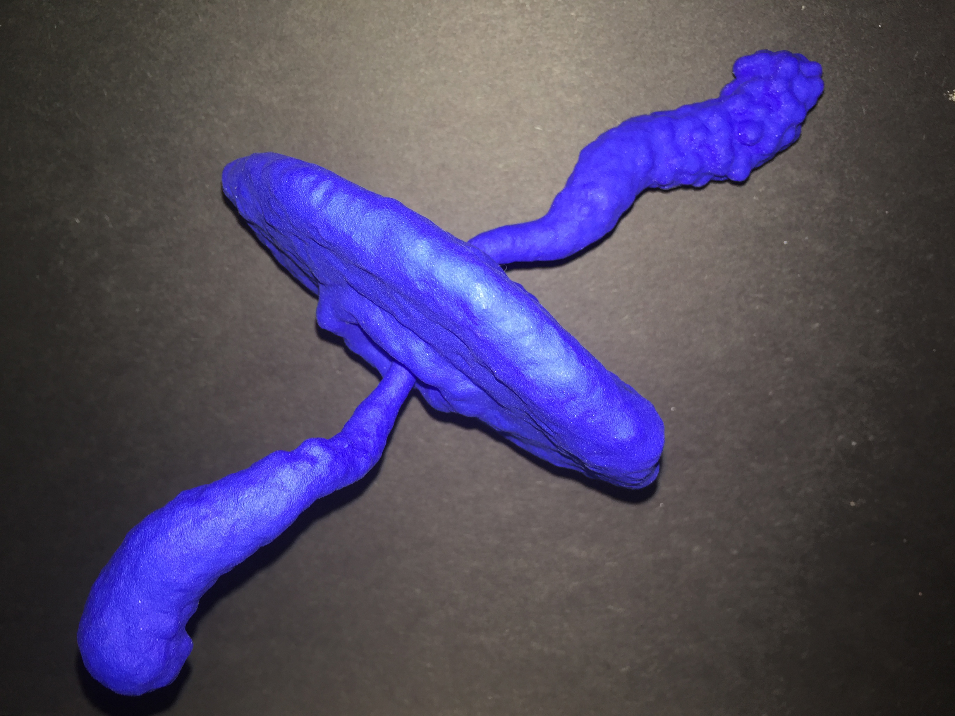 Photo  of a 3D print of Crab Nebula. The print is about 8 inches in length and built from blue plastic. The model's shape is reminiscent of a spinning whirligig toy with a center disc and two handles coming out from the center.