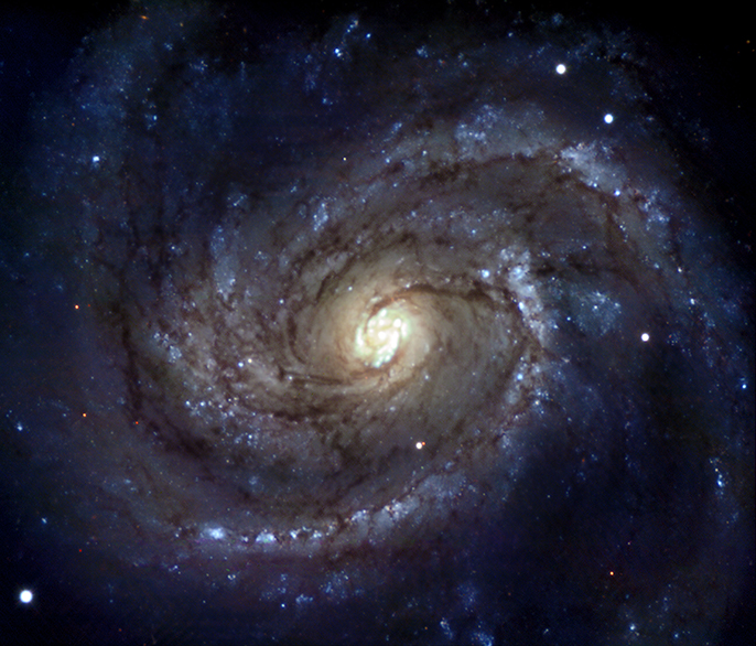 SN 1979C Optical
