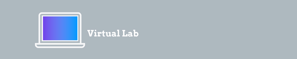Vertual Lab