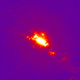 NGC 4151, Optical 