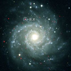 X-ray/Optical Composite Image of M74