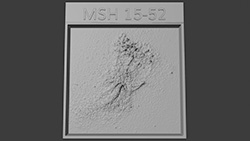 Image of a 3D MSH 15-52