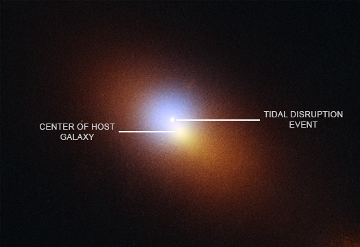 A labeled image of AT2024tvd showing the location of the center of the host galaxy and the location of the tidal disruption event.