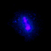 X-ray image
