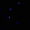 X-ray image