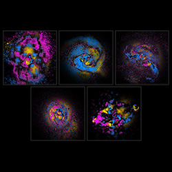 large chandra image