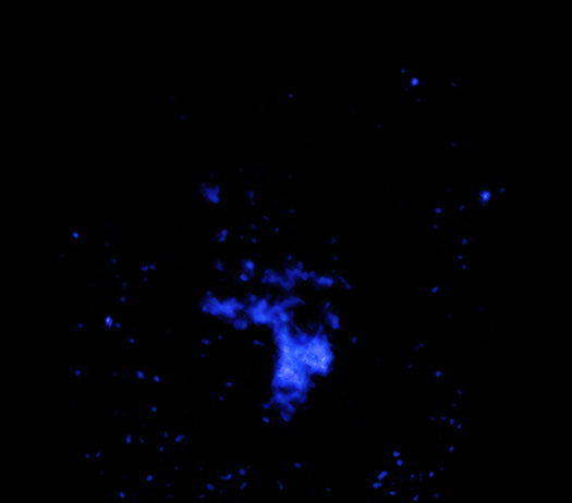Sagittarius C