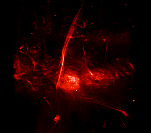 Sagittarius C