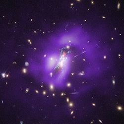 An image of the Phoenix Galaxy Cluster. The center of the cluster is bright white with short red jets that point toward the top right and bottom left, and several blue filaments that spread throughout the center. Outside the bright center is purple gas that is bright toward the center and dimmer further from the center. Yellow galaxies of various shapes and sizes are spread throughout the image.