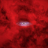 Tour: NASA Connects Little Red Dots With Chandra, Webb